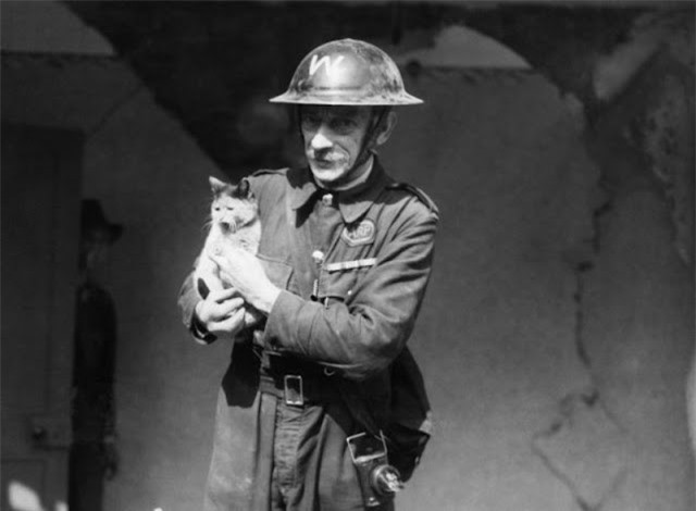 Vụ tàn sát thú cưng kinh hoàng nhất lịch sử nhân loại ảnh 6