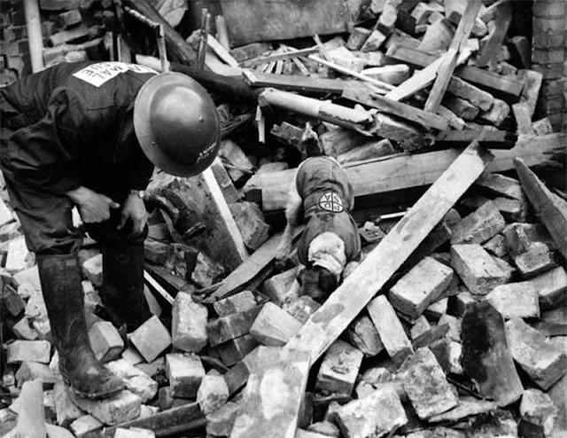 Vụ tàn sát thú cưng kinh hoàng nhất lịch sử nhân loại ảnh 14