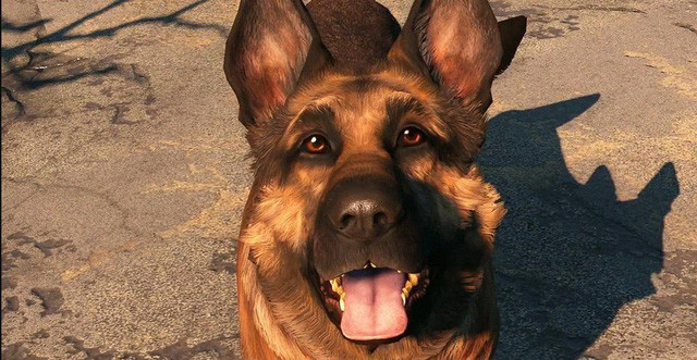 Cộng đồng thương tiếc sự ra đi của River, chú chó linh vật của Fallout 4 - Hình 5 Cong dong thuong tiec su ra di cua River, chu cho linh vat cua Fallout 4-Hinh-5