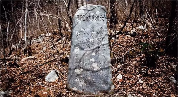 3 diem bao truoc su diet vong cua nha Minh-Hinh-2