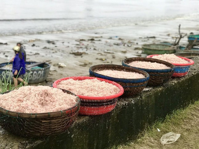 Ngu dan Da Nang kiem tien trieu moi ngay nho mon qua tu bien ca-Hinh-4