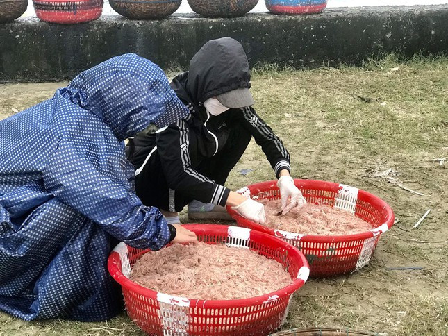 Ngu dan Da Nang kiem tien trieu moi ngay nho mon qua tu bien ca-Hinh-5