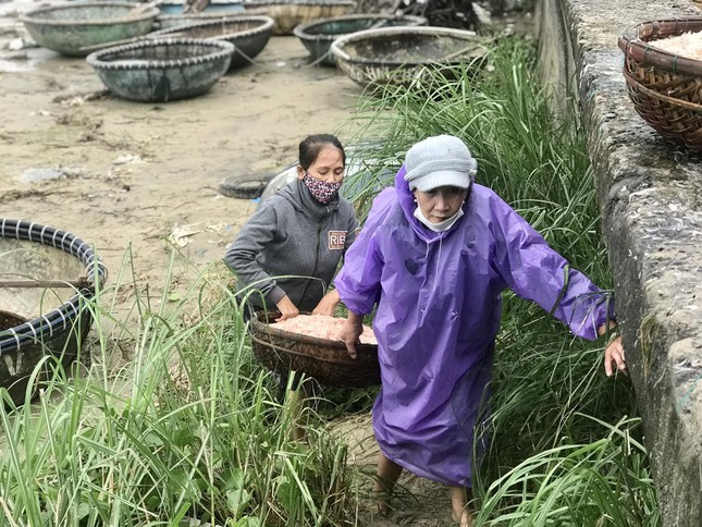 Ngu dan Da Nang kiem tien trieu moi ngay nho mon qua tu bien ca-Hinh-2