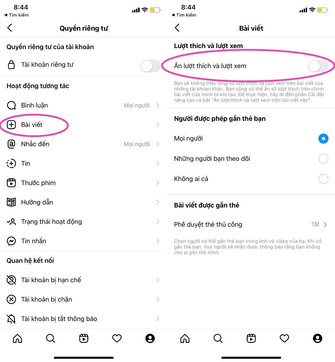 Meo an luot “tha tim” tren Instagram-Hinh-2