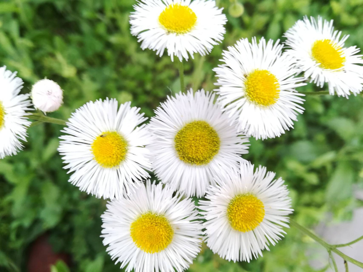 Người sinh vào 3 tháng Âm lịch này, được quý nhân che chở, hậu vận giàu sang Nguoi sinh vao 3 thang Am lich nay, duoc quy nhan che cho, hau van giau sang