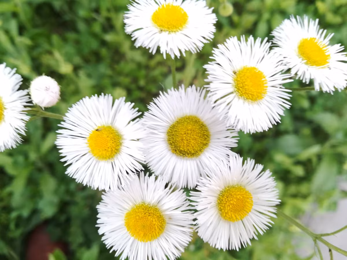 Người sinh vào 3 tháng Âm lịch này, được quý nhân che chở, hậu vận giàu sang Nguoi sinh vao 3 thang Am lich nay, duoc quy nhan che cho, hau van giau sang