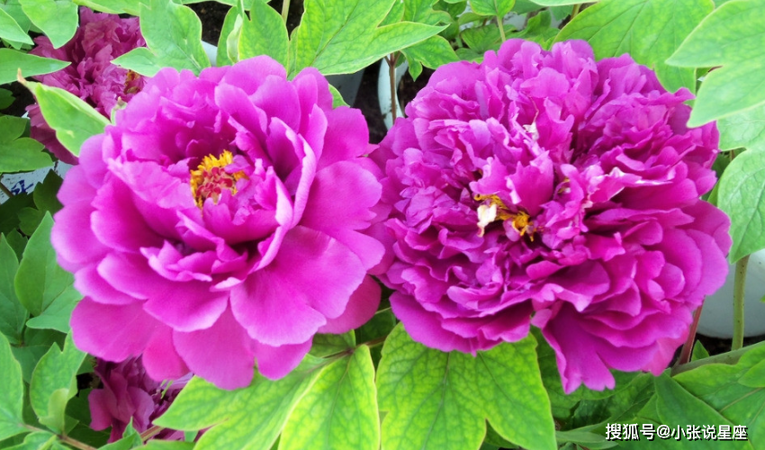 Người sinh vào 3 tháng Âm lịch này, được quý nhân che chở, hậu vận giàu sang - Hình 2 Nguoi sinh vao 3 thang Am lich nay, duoc quy nhan che cho, hau van giau sang-Hinh-2