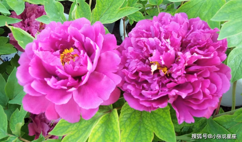 Người sinh vào 3 tháng Âm lịch này, được quý nhân che chở, hậu vận giàu sang - Hình 2 Nguoi sinh vao 3 thang Am lich nay, duoc quy nhan che cho, hau van giau sang-Hinh-2