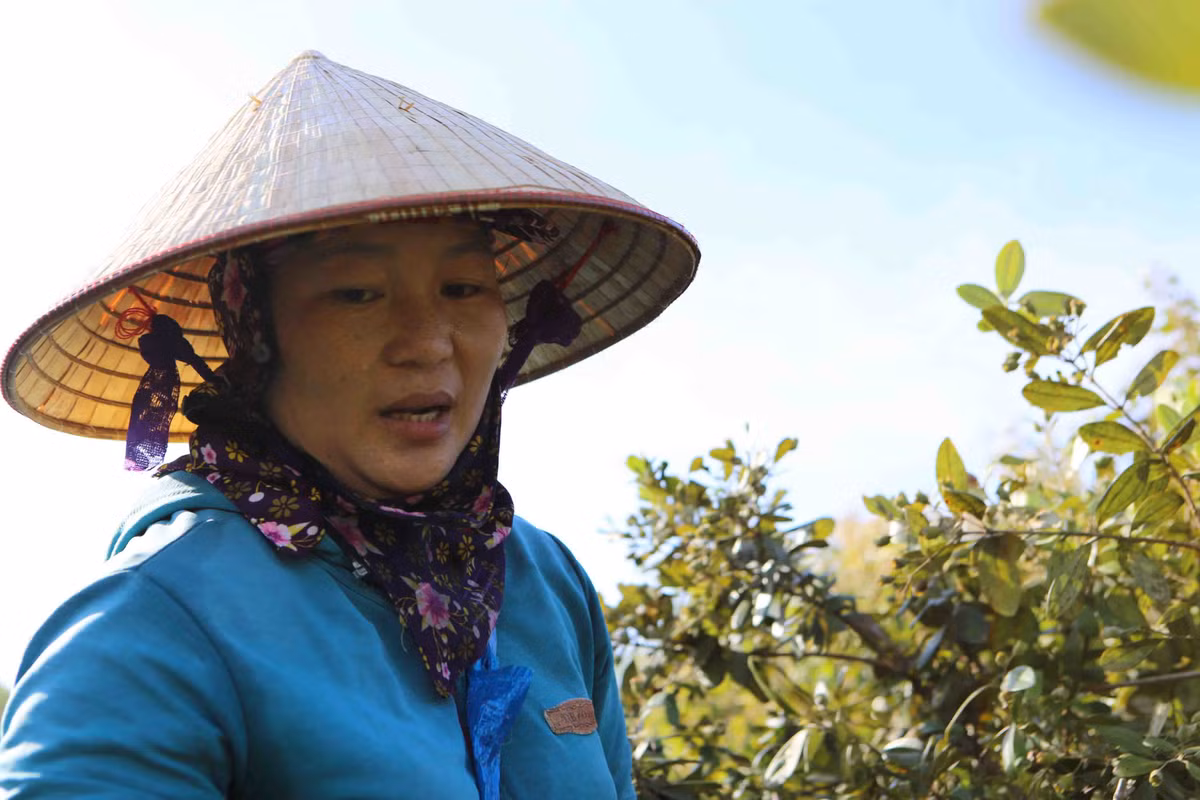 Qua dai tim day doi, bat ngo dat gia vi quy ong san lung-Hinh-7