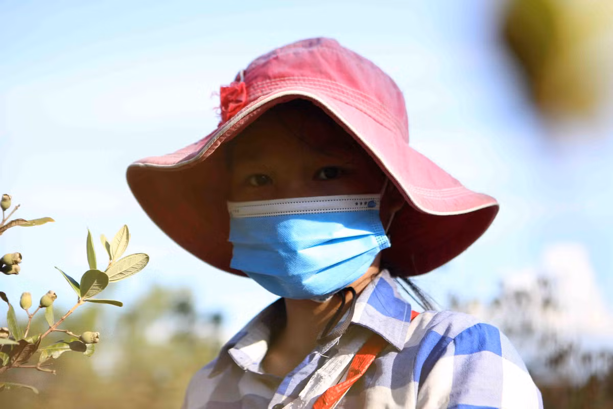 Qua dai tim day doi, bat ngo dat gia vi quy ong san lung-Hinh-11