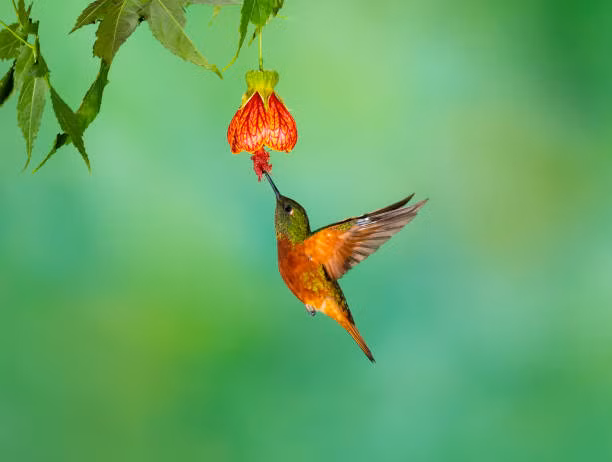 Phu nu sinh vao thang Am lich nay luon manh me, kiem tien tot-Hinh-2