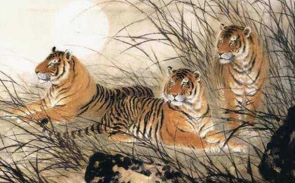 Chắc chắn tuổi Dần sẽ có tương lai tốt đẹp hơn, chỉ cần kiên nhẫn theo đổi đam mê, kế hoạch đã dự định, họ sẽ nắm phần thắng trong tay.