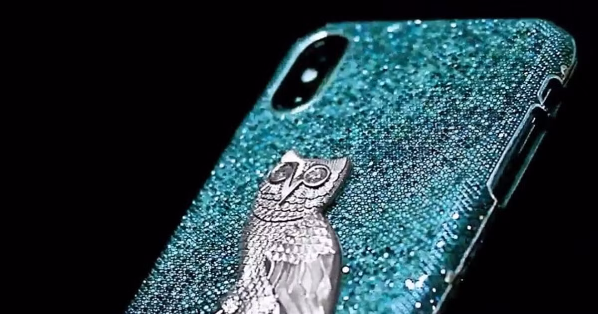 Năm 2019, rapper Drake đã đặt thợ kim hoàn Jason Arasheben chế tác ốp lưng iPhone X dành riêng cho anh. Mẫu ốp được làm từ vàng trắng 18 carat, nạm kim cương xanh. Mặt sau ốp là biểu tượng con cú của hãng thu âm OVO bằng vàng trắng, đôi mắt đính kim cương. Giá trị của chiếc ốp này khoảng 400.000 USD. Ảnh: Jason of Beverly Hills.