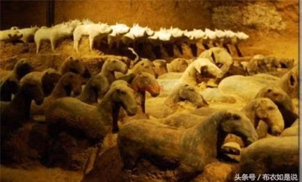 Bí mật về việc làm vô nhân tính bị chôn dưới lòng đất của bậc minh quân - Hình 2 Bi mat ve viec lam vo nhan tinh bi chon duoi long dat cua bac minh quan-Hinh-2