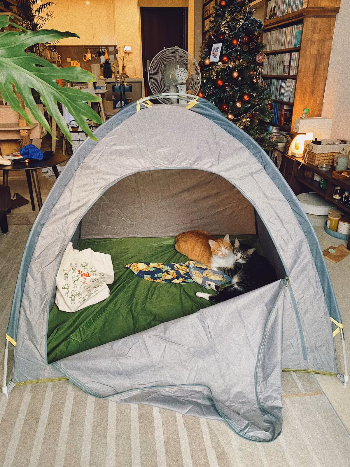 Trang tri Giang sinh tai nha truoc ca thang-Hinh-7