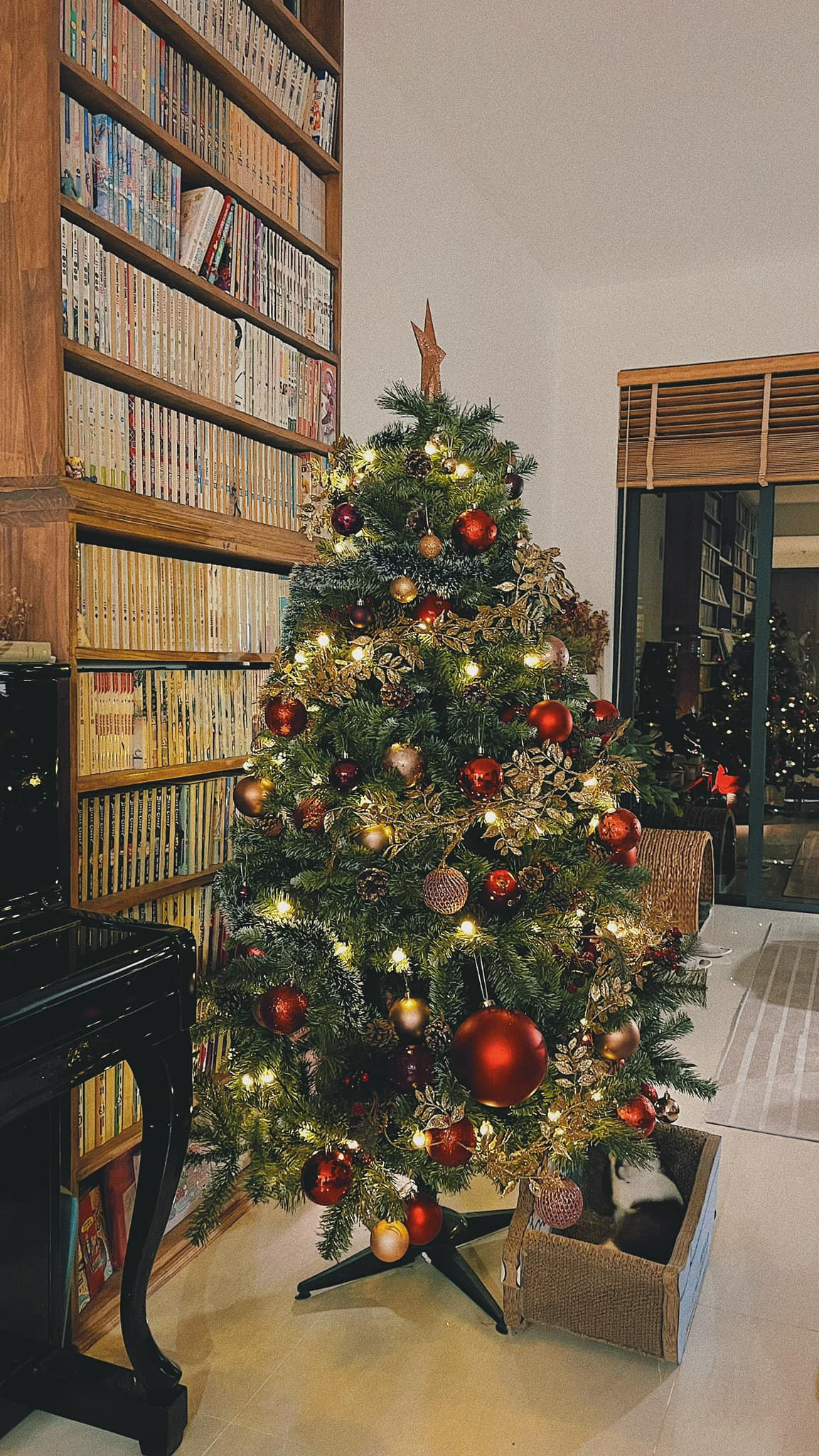 Trang tri Giang sinh tai nha truoc ca thang