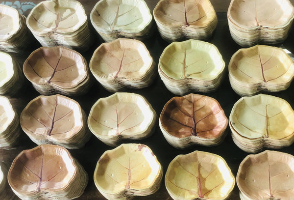 Lay la cay ve ep thanh bat dia, ban sang chau Au ca chuc nghin chiec-Hinh-3