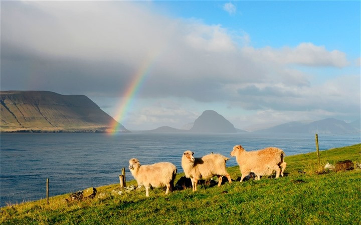 Quần đảo đẹp siêu thực như bước ra từ bối cảnh phim Hollywood ảnh 7