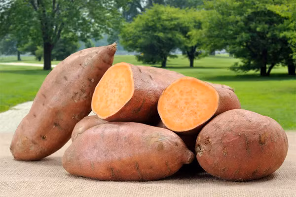 Thuc don giam can chi bang khoai lang trong 3 ngay