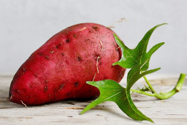 Thuc don giam can chi bang khoai lang trong 3 ngay-Hinh-2