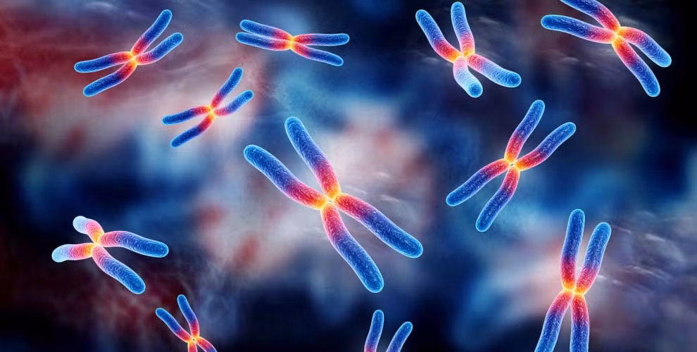 Can benh moi hiem gap co the gay tu vong, chi nam gioi mac