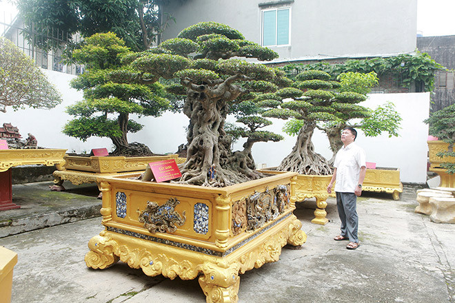 Sanh co mua 28 ty, sau mot nam co khach tra gap gan 4 lan-Hinh-5