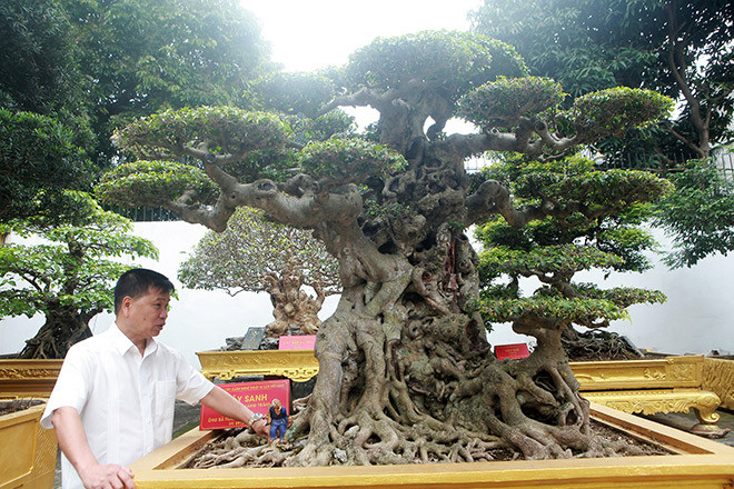 Sanh co mua 28 ty, sau mot nam co khach tra gap gan 4 lan-Hinh-3