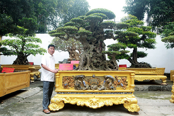 Sanh cổ mua 28 tỷ, sau một năm có khách trả gấp gần 4 lần Sanh co mua 28 ty, sau mot nam co khach tra gap gan 4 lan