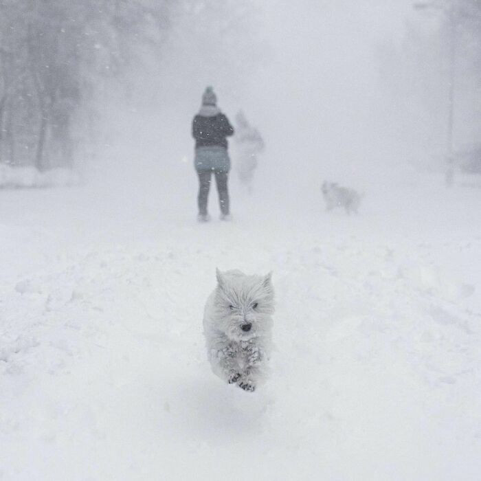 Khắp nơi trắng xóa, tuyết rơi dày kỷ lục trong 50 năm qua ở Tây Ban Nha