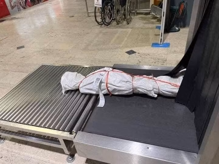 Xuat hien vat the la o san bay khien khach hang bo chay-Hinh-3