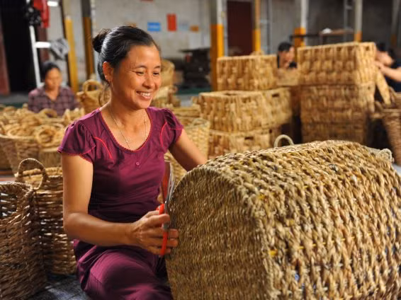 Sản phẩm do người thợ Kim Sơn làm rất đa dạng, như: thảm, giỏ đựng đồ, kệ đựng báo, khay giấy, bình hoa, ghế salon…