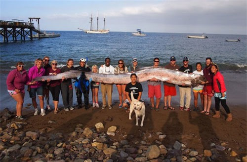 Kha nang ky la du bao dong dat cua dong vat