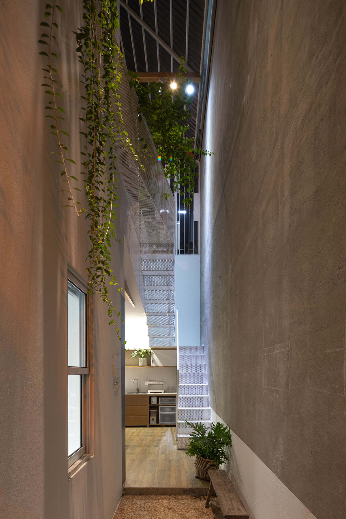 Cải tạo nhà bỏ hoang thành không gian nhiều nắng, cây xanh trong hẻm nhỏ