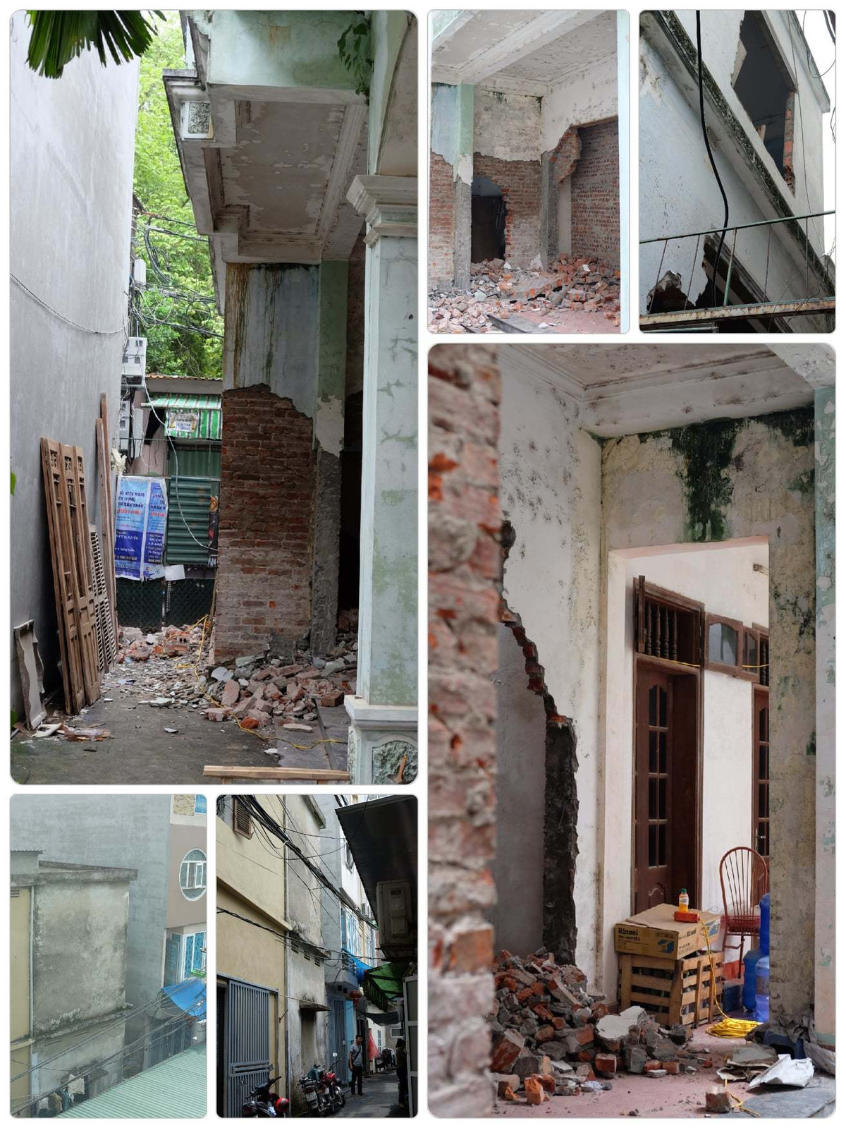 Cải tạo nhà bỏ hoang thành không gian nhiều nắng, cây xanh trong hẻm nhỏ ảnh 1