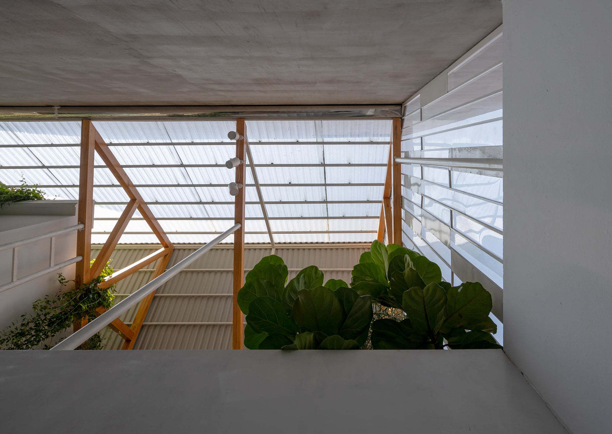 Cải tạo nhà bỏ hoang thành không gian nhiều nắng, cây xanh trong hẻm nhỏ ảnh 20