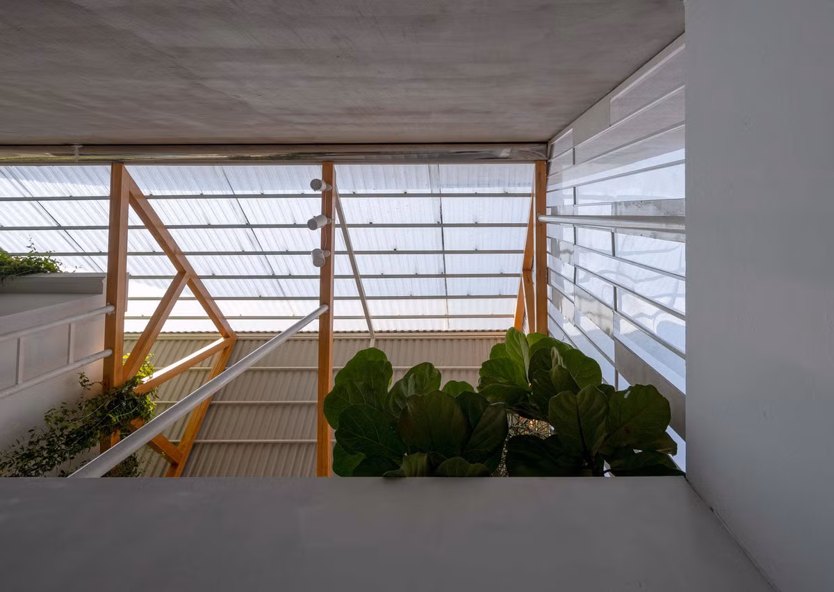 Cải tạo nhà bỏ hoang thành không gian nhiều nắng, cây xanh trong hẻm nhỏ ảnh 20