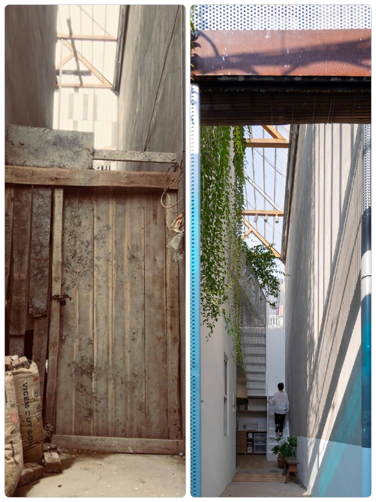 Cải tạo nhà bỏ hoang thành không gian nhiều nắng, cây xanh trong hẻm nhỏ ảnh 2