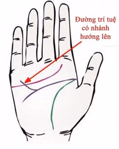 Cach xem duong chi tay, biet ai so phu quy, ai ca doi chat vat-Hinh-3