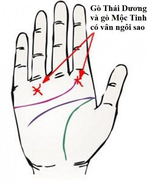 Cach xem duong chi tay, biet ai so phu quy, ai ca doi chat vat-Hinh-4