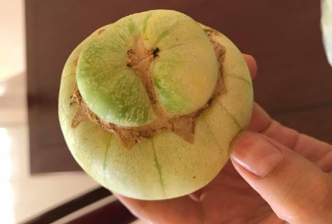 Mua dua le cu nhin vao ron dam bao chon 10 qua ngot ngon nhu mot