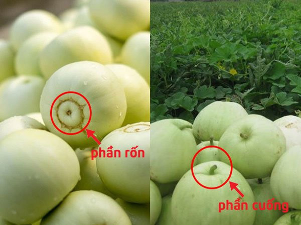 Mua dua le cu nhin vao ron dam bao chon 10 qua ngot ngon nhu mot-Hinh-2