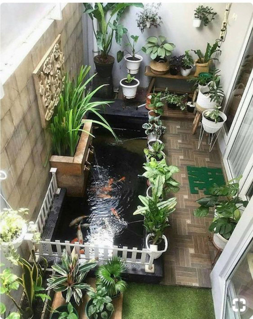 “Vườn cây ao cá mini” giúp thanh lọc không khí, rất tốt cho ngôi nhà