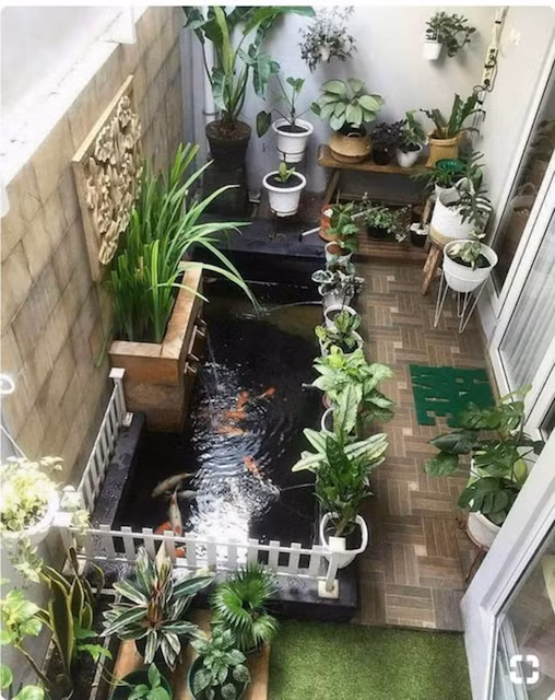 “Vườn cây ao cá mini” giúp thanh lọc không khí, rất tốt cho ngôi nhà
