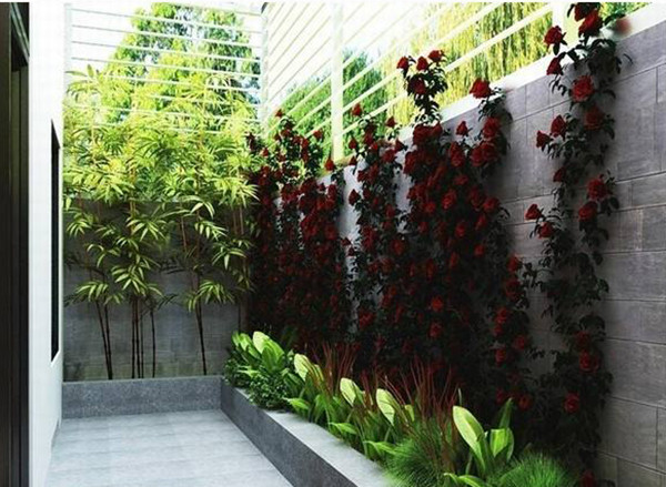 Đây là một mẫu thiết kế sân vườn nhỏ đẹp, đơn giản theo phong cách Châu Âu hiện đại