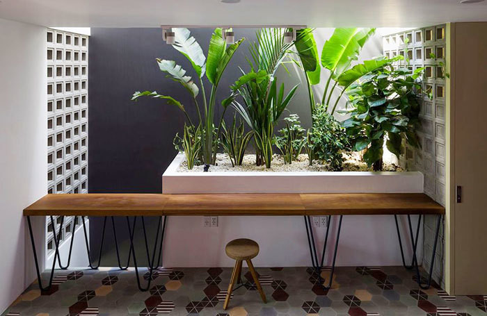 Không quá khó để bạn thiết kế một khu vườn nhỏ ngay bên trong nhà