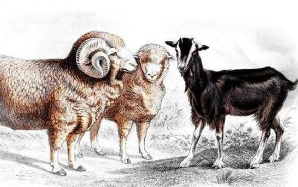 Những cơn gió tiếp tục nối tiếp nhau, và số tiền đến không ngừng nghỉ. Bài viết chỉ mang tính chất tham khảo, chiêm nghiệm.