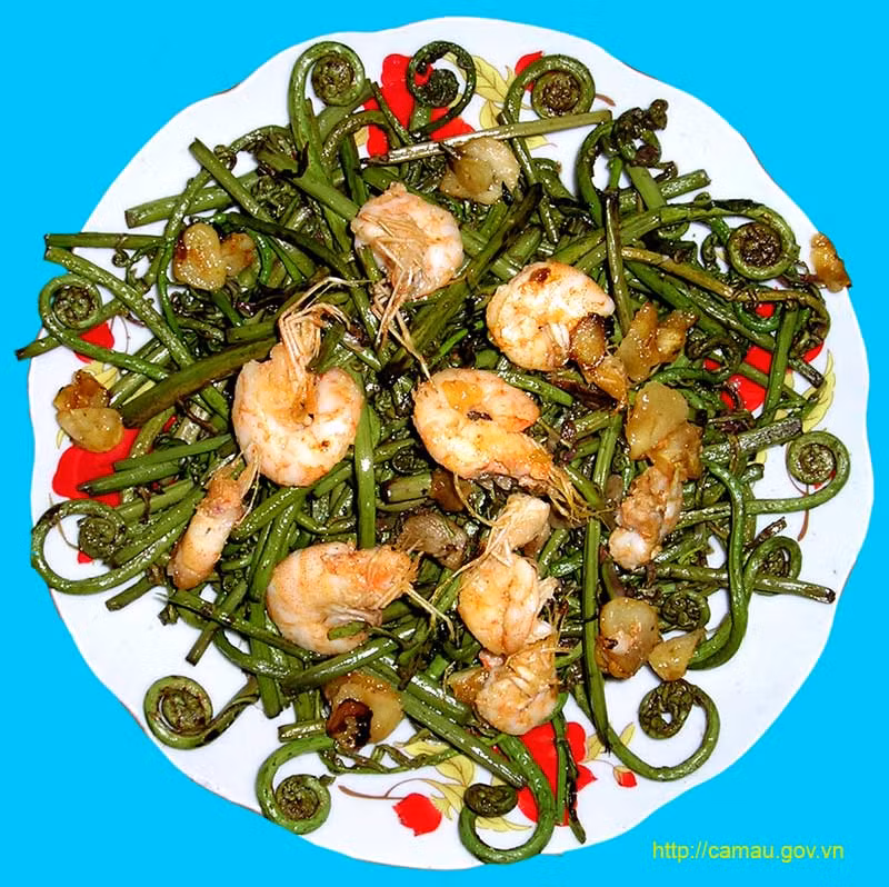 Rau rung mot thoi cuu doi nay thanh dac san-Hinh-4