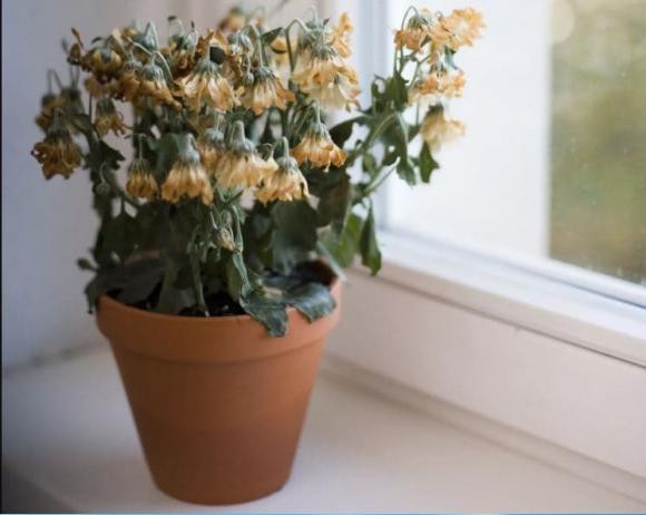 Nhung dieu can tranh trong phong thuy doi voi phong ngu-Hinh-8