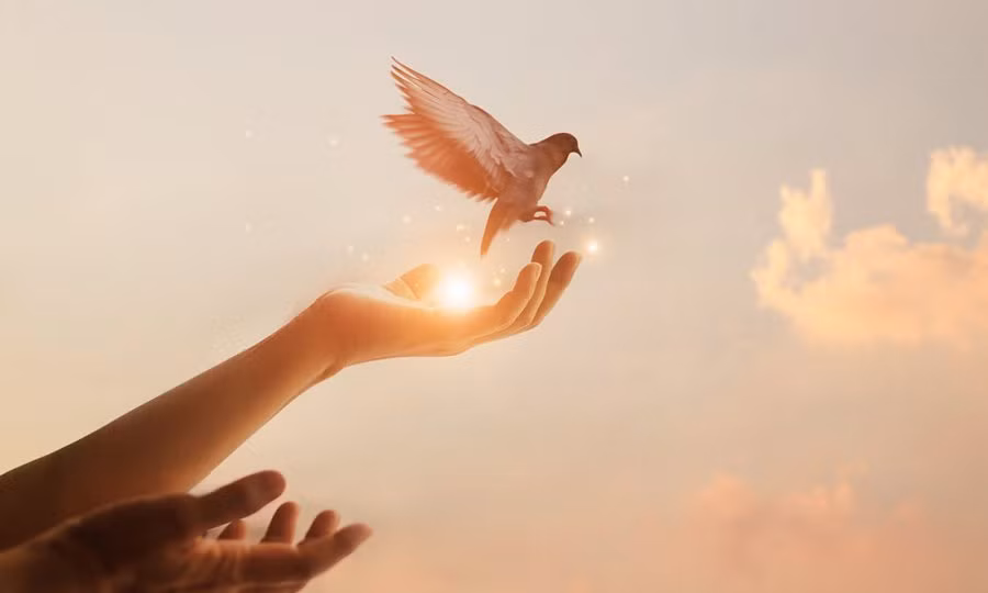 Nam thang la mot con dao hai luoi