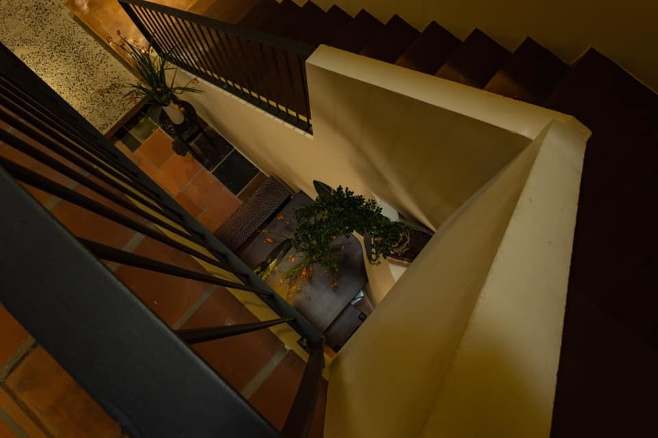 Cầu thang dẫn lên tầng. Một nhành cây nhỏ mọc ra từ gầm cầu thang tượng trưng cho sự sống luôn sinh sôi, nảy nở.